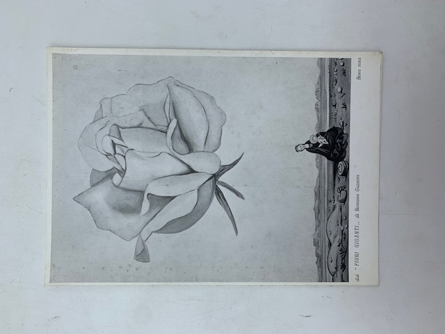I migliori auguri di Buon Natale e Anno nuovo. Dai Fiori giganti di Romano Gazzera (con autografo)